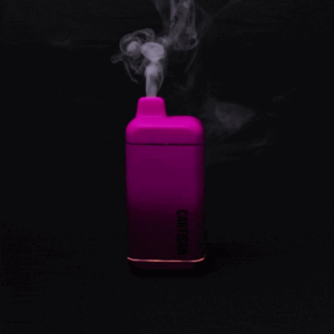 Veil Bar Flow